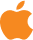Vector